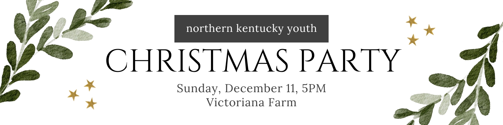 xmas party banner