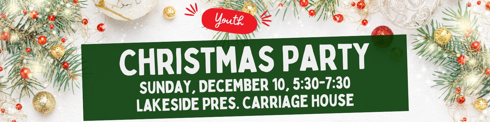Christmas Party Banner
